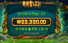 팀버 8스핀 후기