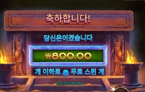 냥신아 전투를 신청한다