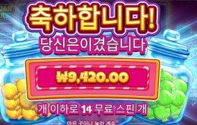 캔자 나이스가 끝