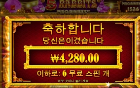 5래빗 메가위이즈 후기