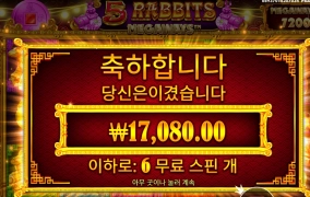 ５라메 스핀이 아깝네