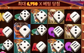 도그 하우스 다이스 쇼 바닥