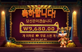 배에 힘 빡줘라 냥냥아