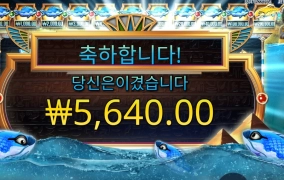 엄마가 고등어 잡아왔던데