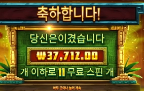 씨씨골 골드 겟겟