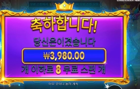 파치 차이가 뭔지