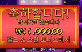 홀드 스핀 11천원