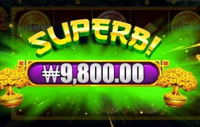 돈나무 키우세요