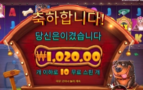 애완동물 싫어요