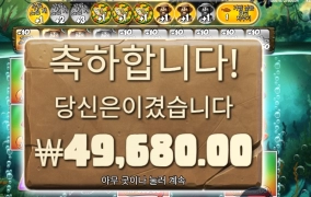 빅배스 아마존 248배