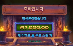 센세라며 나일아