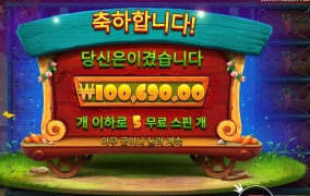 래빗가든 503배