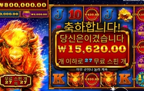 불소 7스핀 추가를 했는데