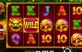 돈나무 바닥시전