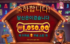 개집 오늘 철거갑니다.