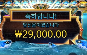 생선아 왠일이냥