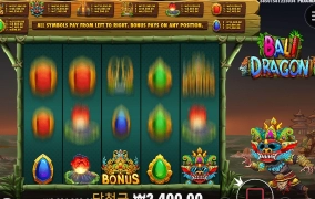 발리드래곤 바닥