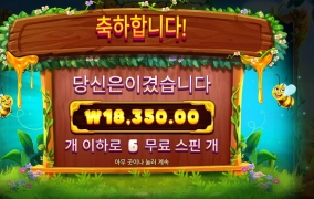 3버징 주변 와일드 구매 후기