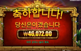 짹짹이 나이스~