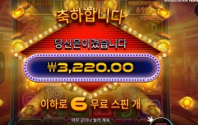 배수 망 스핀 망