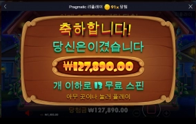 도그하우스 후기