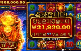 파이어스탬피드 47스핀