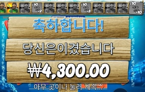 １０스핀 추가가 안되다니