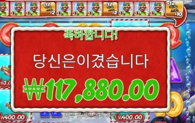 크리스마스 배쉬 589배