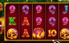 이름만 돈나무 아니지