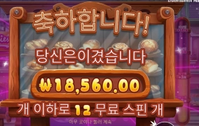 와일디즈 기본스핀 구매