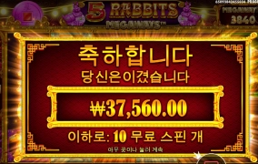 역시 나의 5토끼