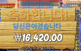 빅배스 홀더 앤 스피너 기본스핀 후기