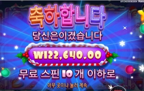 슈가러시엑스마스 12콩