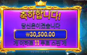 배팅 살짝 올렸는데 아쉽네