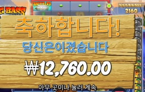 물고기들이 자나보다