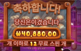 ２０４배 와일디즈