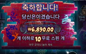 금액보니 도그는 도그네