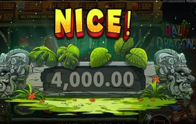 발리 드래곤 바닥