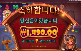 개집이 여러개면 뭐하니