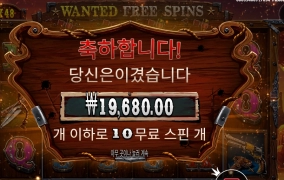 수배 성공 와일드 갱