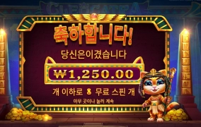 하하 켓트라야 보호소로 이동할래