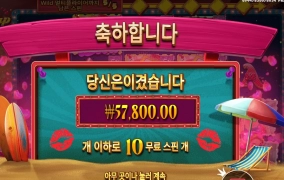 핀업 걸스 ２８９배