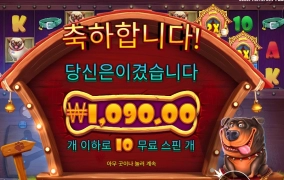 유기견 보호소 연락해