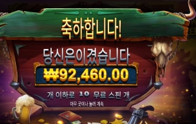 와일드 확장 구매 후기