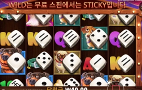 도 도그 다이스 바닥