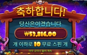 스카이 바운티 269배