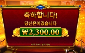 어라 이 돼지들이