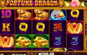 오늘의 바닥 포춘 드래곤