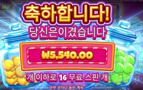 미니는 싫습니다