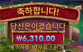 겜블을 5판을 이겼는데